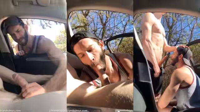 Brandt’s Boys – Cruising Help