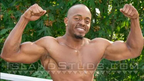 Island Studs – Damien 2